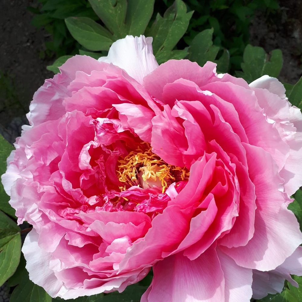 Meet your Posher, Beth nadel